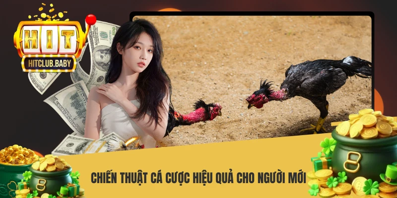 Chiến thuật cá cược hiệu quả cho người mới