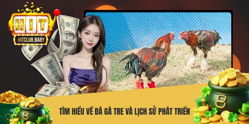 Tìm hiểu về đá gà tre và lịch sử phát triển